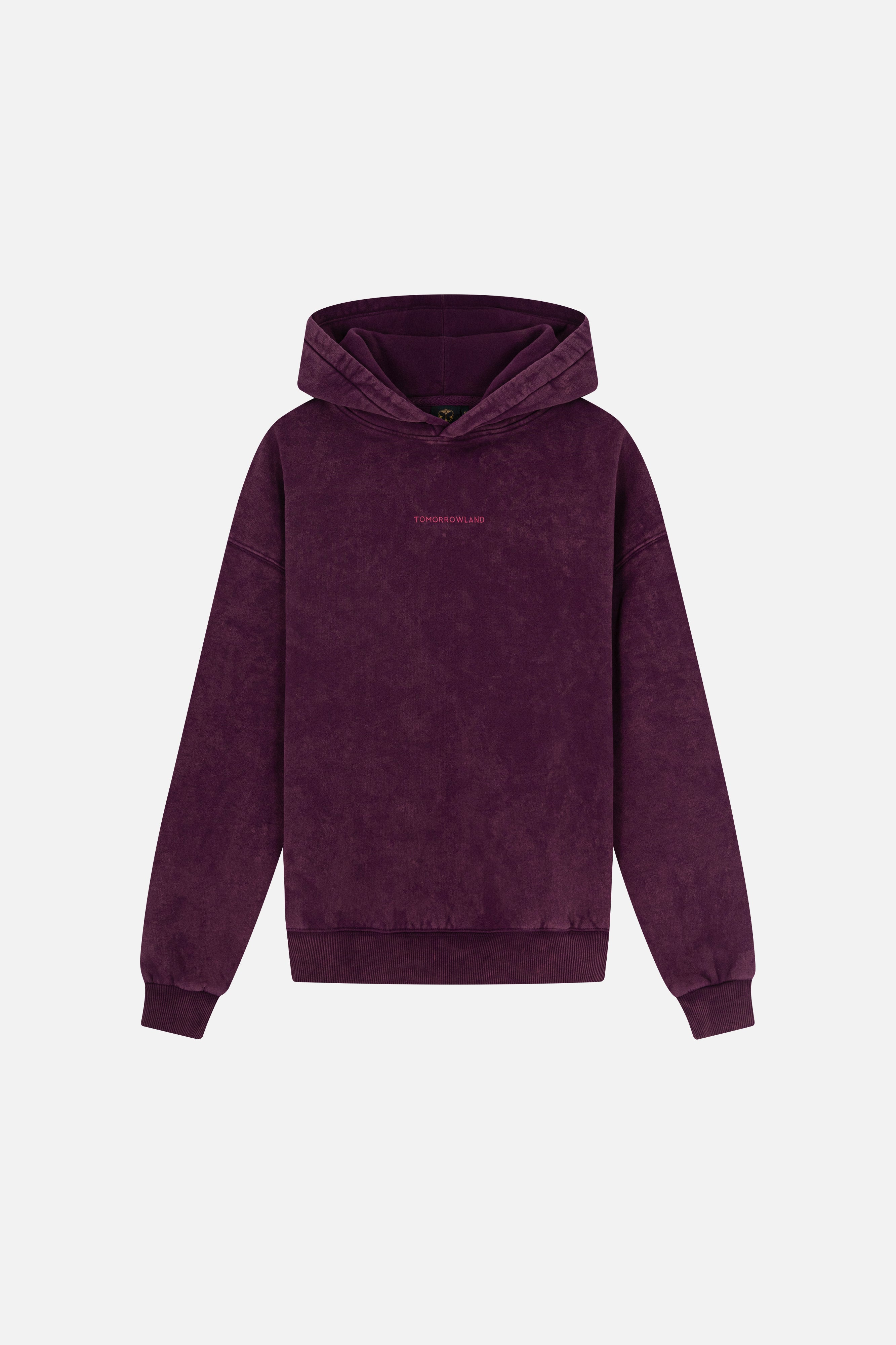 WASHED UNITY FLAG HOODIE WOMEN - 5
